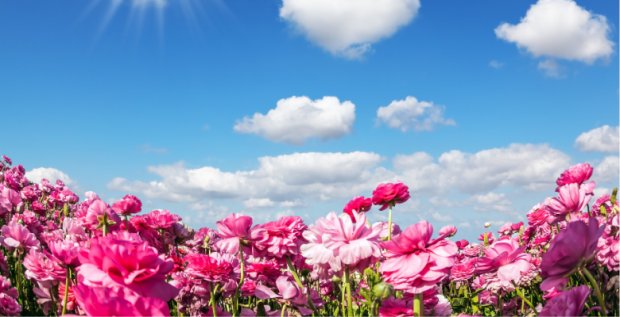 May Bank Holiday Getaways: Best Short Trips From The UK