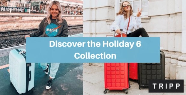 Discover the Holiday 6 Collection