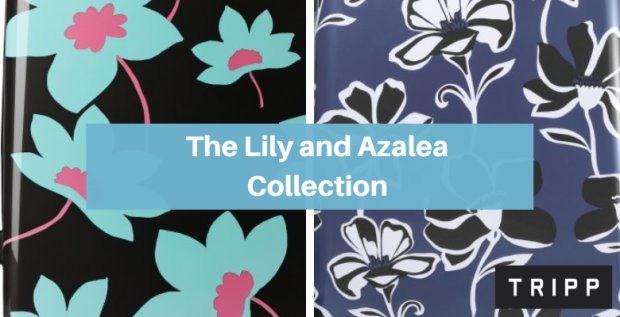 Unique & Stylish Suitcases: The Lily and Azalea Collection