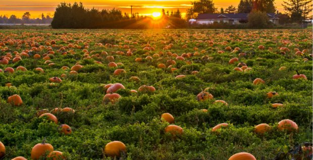 Spooky Travels: Haunted Destinations To Visit This Halloween