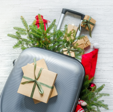 Make This Christmas Unforgettable With Tripp