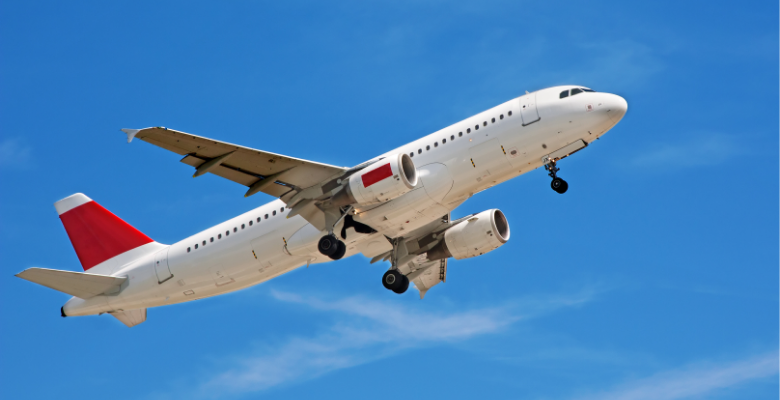 Our Guide To Baggage Allowance For SAS