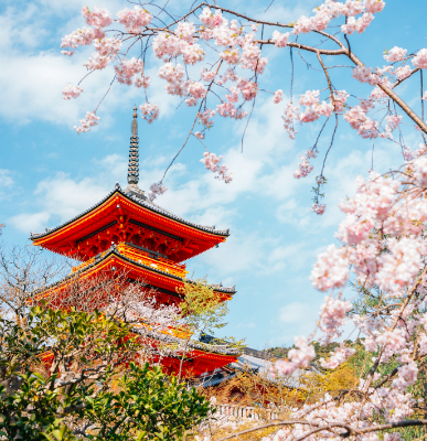 Kyoto, Japan: A Blend Of Tradition & Nature