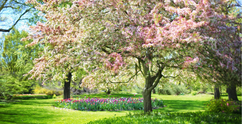 Exploring The UK's Hidden Gems This Spring