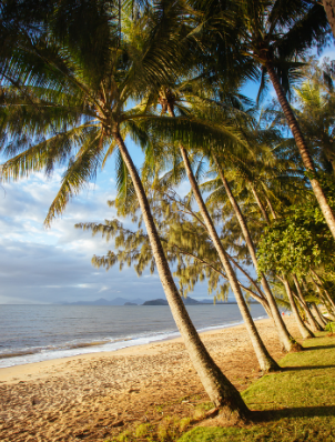 Palm Cove Beach, Queensland, Australia