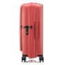 Tripp Tripp Cruise Terracotta Dual Access Medium Suitcase