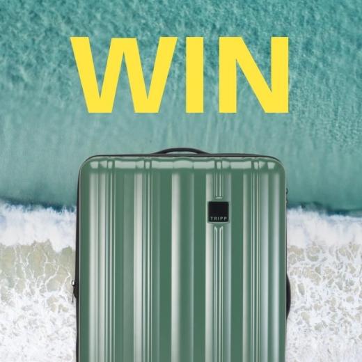 GIVEAWAY! Kick off the summer season and win a set of our NEW Retro Moss! 🌱💚 How to win: - Foll...
