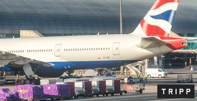 Baggage Allowance For British Airways in 2023 Tripp Ltd