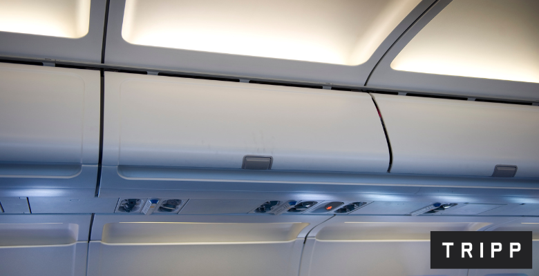 Baggage Allowance For British Airways in 2023 Tripp Ltd